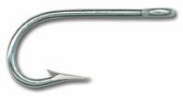 Insieme Fresco Del Pesce Di Mare La Cernia, Tonno, Dorado Ha Isolato Su Bianco 128121321