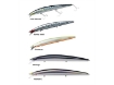 Immagine di Daiwa Shore Line Shiner Slender 170 Floating