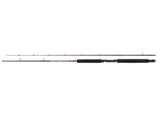 Immagine di Abu Garcia Alphamar Trolling 6'/1,83 mt 10-20 Lb