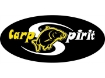 Immagine di Carp Spirit In-Line Feeder