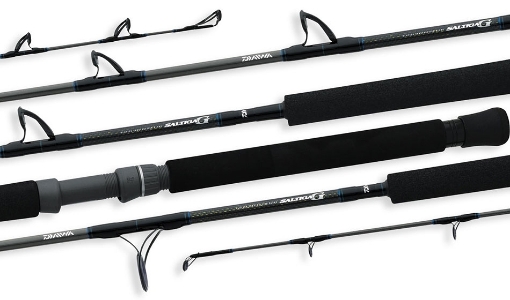 Immagine di Daiwa Saltiga G Trolling