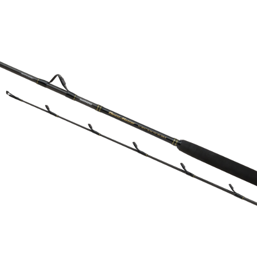 Immagine di Shimano BeastMaster AX Boat Slim 2,28 mt