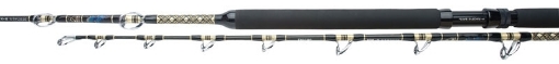 Picture of Shimano Tiagra XTR-A Stand Up 1,65 mt 8-12 Lb