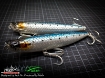 Immagine di Molix WTD 150T (Walking the dog tarpon)