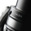 Immagine di Daiwa Caldia LT