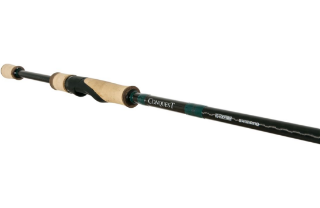 Pescare in Libertà GLoomis, Conquest, Spin, Jig