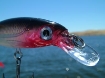 Immagine di Rapala X-Rap Saltwater 10 cm