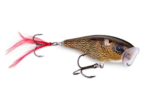 Immagine di Rapala Skitter Pop