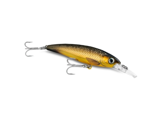 Immagine di Rapala X-Rap 3X Minnow 10 cm