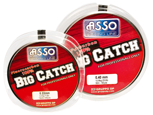 Immagine di Asso Big Catch Fluorocarbon 100%