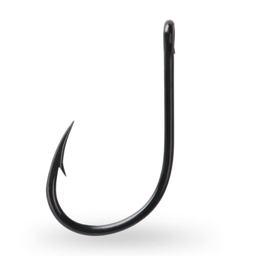 Immagine di Ami Mustad 10829NP-BN