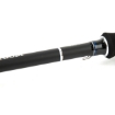Picture of Shimano Technium AX Predator 2,44 mt 14-42 gr