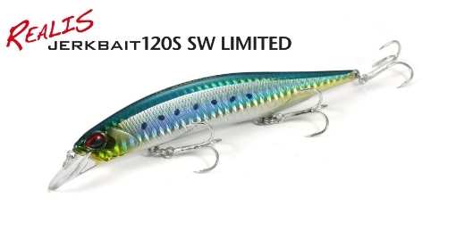 Immagine di Duo Realis Jerkbait 120S SW