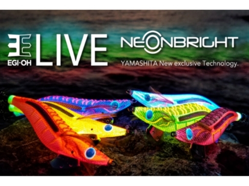 Immagine di Yamashita Egi OH Live Neon Bright 3.0