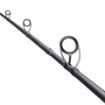 Immagine di Shimano Salty Advance Shore Jigging