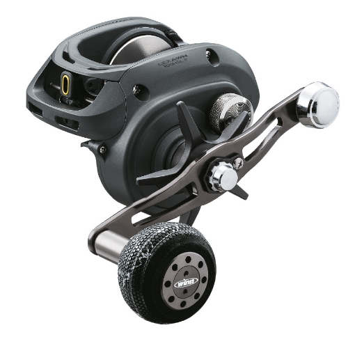 Immagine di Daiwa Lexa WN 300HSL-P