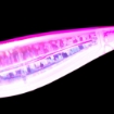 Picture of Yo-Zuri Squid Jig Ultra 3D Laser M