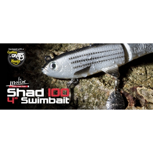 Immagine di Molix Shad 100