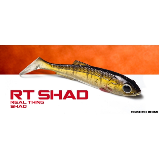 Immagine di Molix RT Shad Real Thing Shad 3.5"