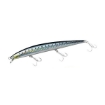 Immagine di Daiwa Shore Line Shiner Slender 170 Floating