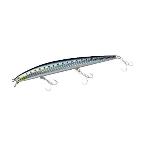 Immagine di Daiwa Shore Line Shiner Slender 170 Floating