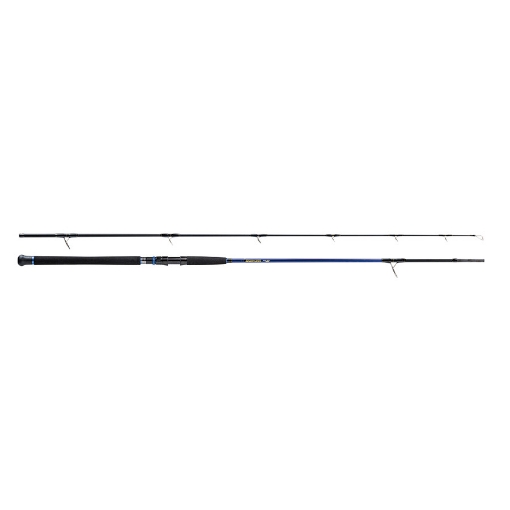 Immagine di Molix Skirmjan R Saltwater Shore Jigging 2,92 mt 100 gr