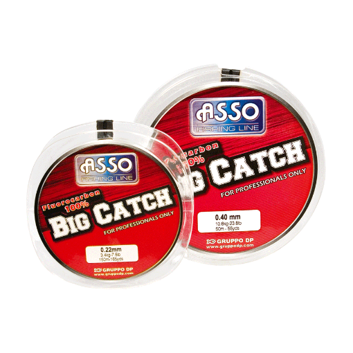 Immagine di Asso Big Catch Fluorocarbon 100%