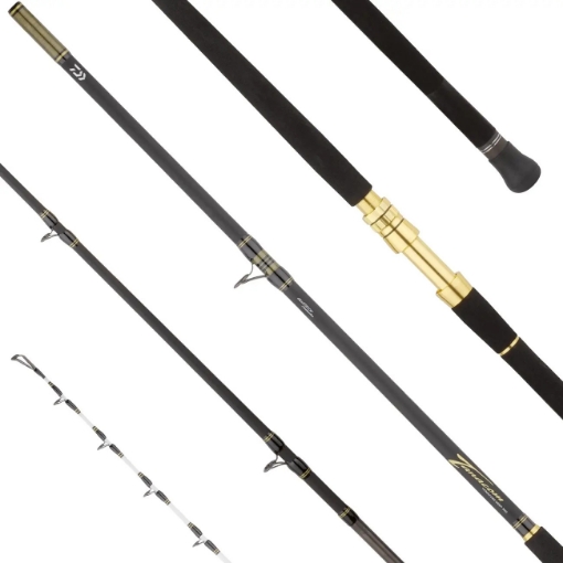 Immagine di Daiwa Tanacom Deep 2,50 mt 200-1500 gr