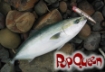 Immagine di Maria Pop Queen 105 mm