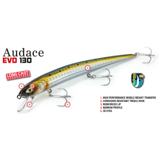 Immagine di Molix Audace Evo 130
