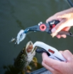Immagine di Rapala Floating Fish Gripper