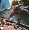 Immagine di Rapala Floating Fish Gripper