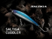 Immagine di Daiwa Saltiga Cuddler 160F