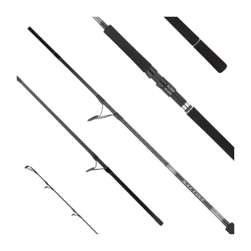 Immagine di Daiwa Saltist X SJ