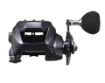 Immagine di Daiwa 24 Leobritz 300 JL