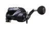 Immagine di Daiwa 24 Leobritz 300 JL