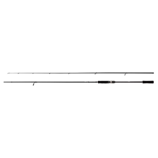 Immagine di Shimano Bassterra A Seabass Spinning 2,90  mt 15-60 gr