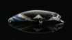 Picture of Duo Spearhead Ryuki 25th Anniversary