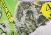 Immagine di Hayabusa EX467 Super Strong Sabiki UV Skin Mix